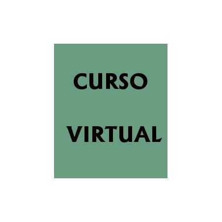 MATERIAL BÁSICO DISPONIBLE EN EL CURSO VIRTUAL