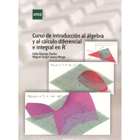 CURSO DE INTRODUCCIÓN AL ÁLGEBRA Y AL CÁLCULO DIFERENCIAL E INTEGRAL EN Rn