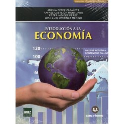 INTRODUCCIÓN A LA ECONOMÍA