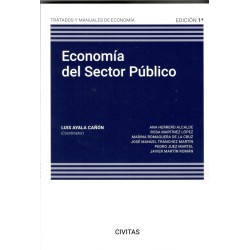 ECONOMÍA DEL SECTOR PÚBLICO