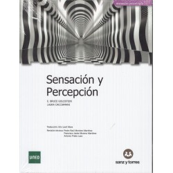 SENSACIÓN Y PERCEPCIÓN (novedad curso 2024-25)