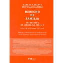 PRINCIPIOS DE DERECHO CIVIL V. DERECHO DE LA FAMILIA (nueva edición curso 2023-24)